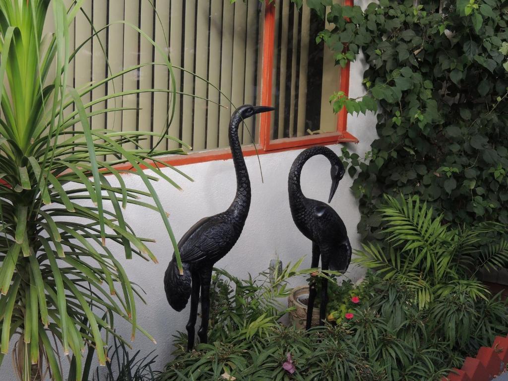 Casa Larrea Inn อเมริกา ภายนอก รูปภาพ